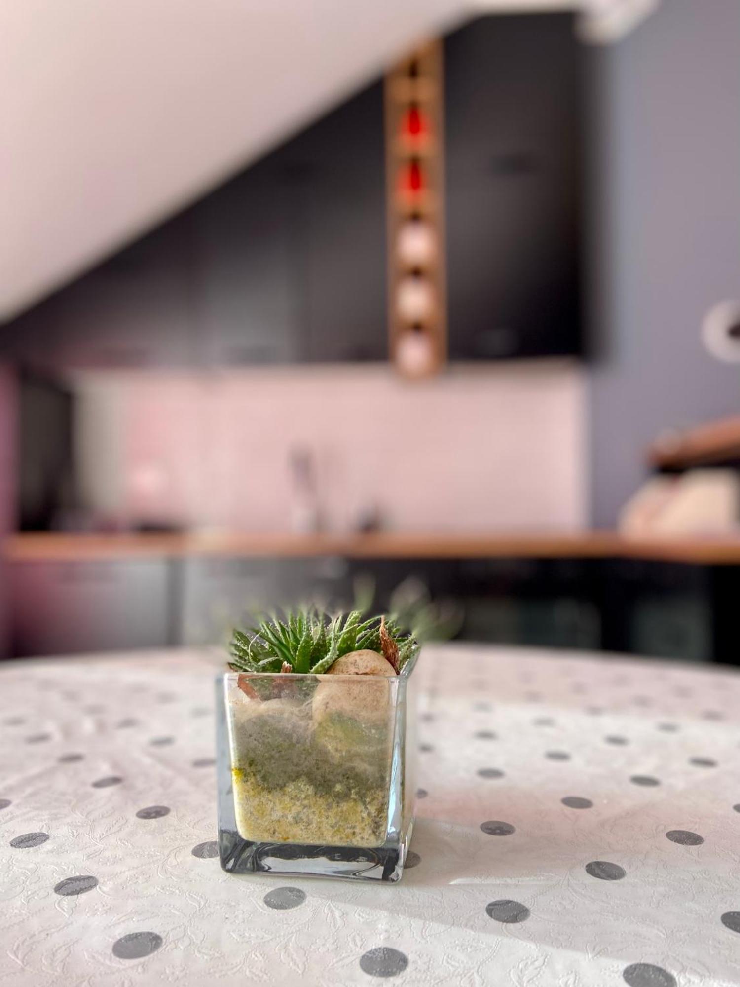 Banicevic Apartmani เดโนวิชี ภายนอก รูปภาพ